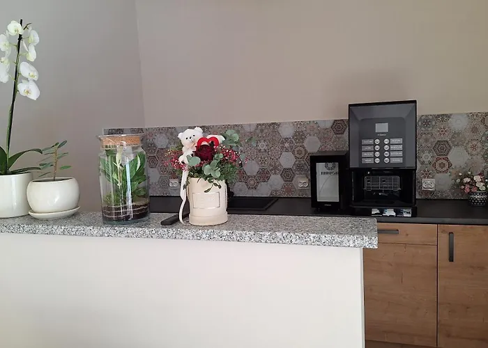 Skalnica- Z Widokiem Na Gory, Przy Szlakach