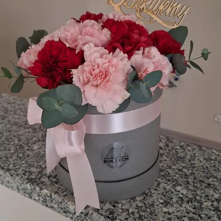 Skalnica- Z Widokiem Na Gory, Przy Szlakach Appartamento *