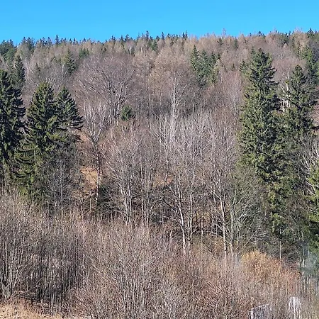 Skalnica- Z Widokiem Na Gory, Przy Szlakach *
