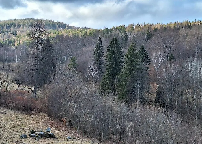 Appartement Skalnica- Z Widokiem Na Gory, Przy Szlakach
